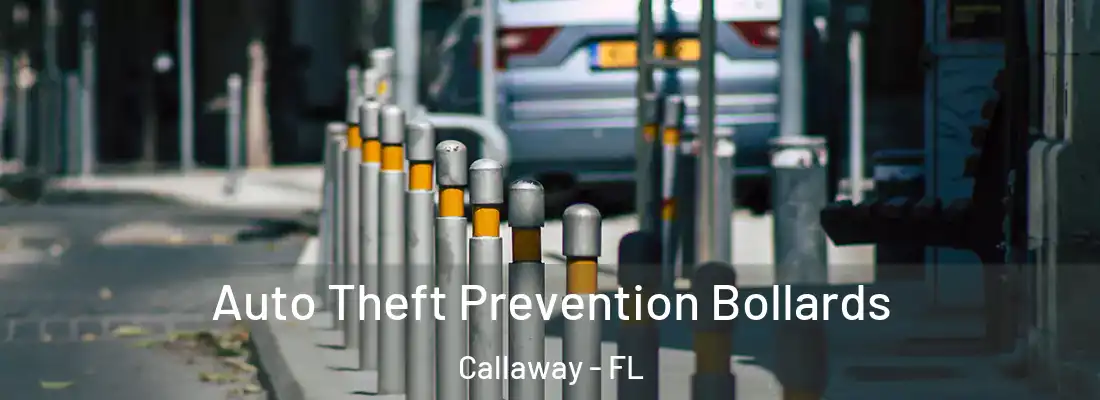 Auto Theft Prevention Bollards Callaway - FL