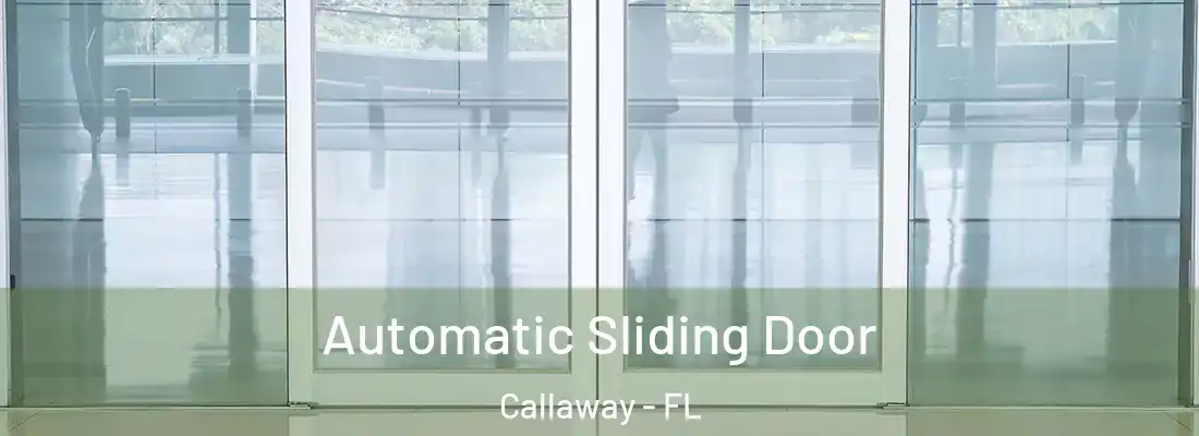 Automatic Sliding Door Callaway - FL