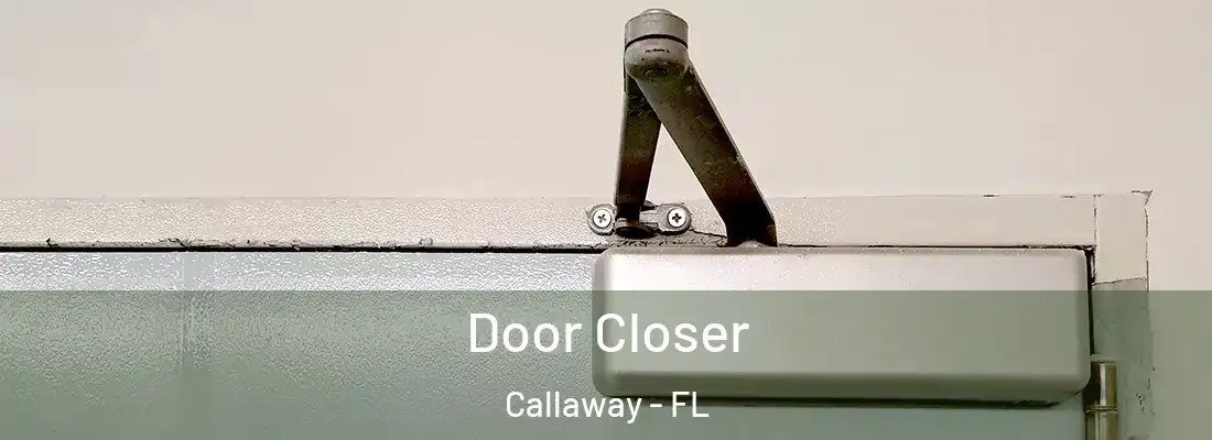  Door Closer Callaway - FL