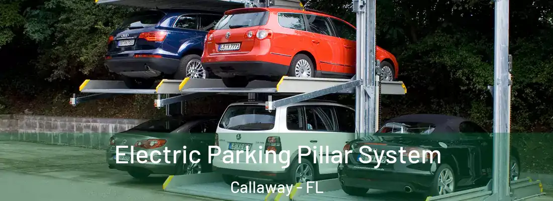  Electric Parking Pillar System Callaway - FL