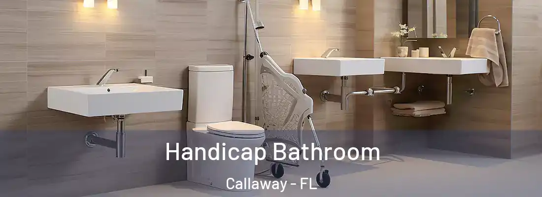 Handicap Bathroom Callaway - FL