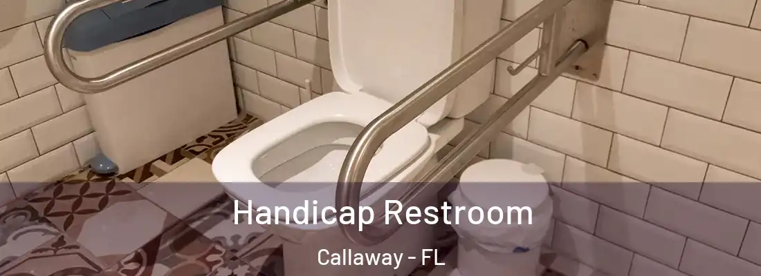  Handicap Restroom Callaway - FL