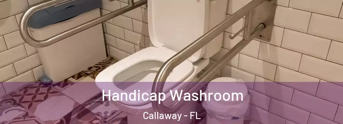 Handicap Washroom Callaway - FL