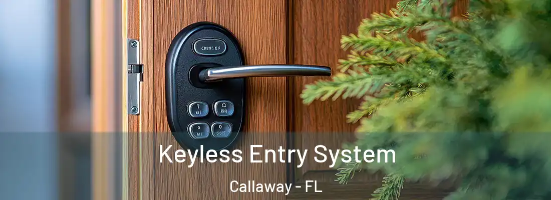 Keyless Entry System Callaway - FL