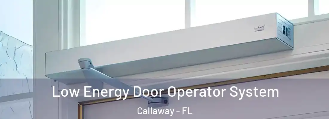  Low Energy Door Operator System Callaway - FL