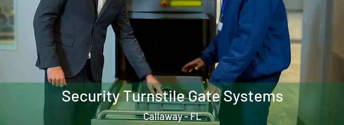  Security Turnstile Gate Systems Callaway - FL
